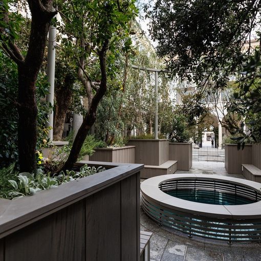 Piazza San Carlo, un bosco urbano nella corte interna della Gallerie d'Italia