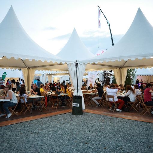 Grande Fiera d'Estate a Savigliano: lezioni di superjump, serata di balli country e convegno su legna e pellet
