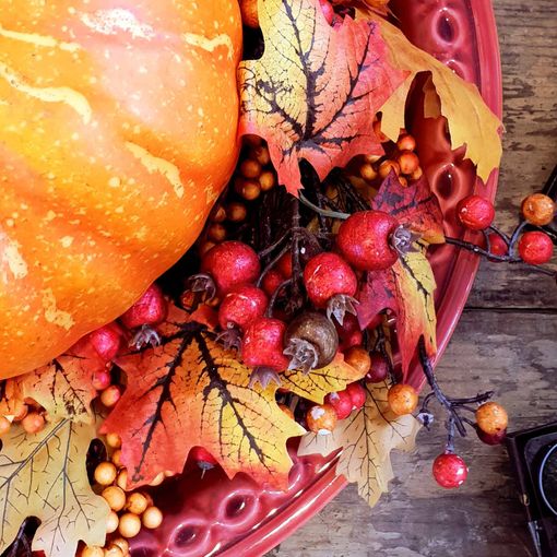 Anche nel torinese torna l'appuntamento con il Garden Festival d'Autunno