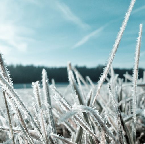 Meteo, settimana ventosa con prime gelate in pianura e neve sui rilievi