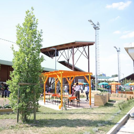 Un Giardino IncrEdibile a Nichelino