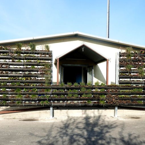 Progetto Progireg: terminati i giardini verticali alla casa di ospitalità notturna di corso Tazzoli