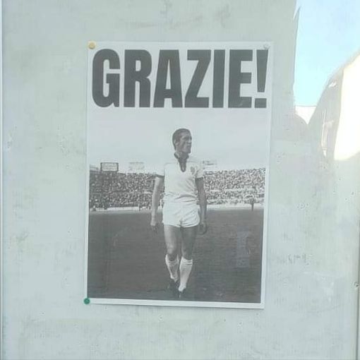 viso