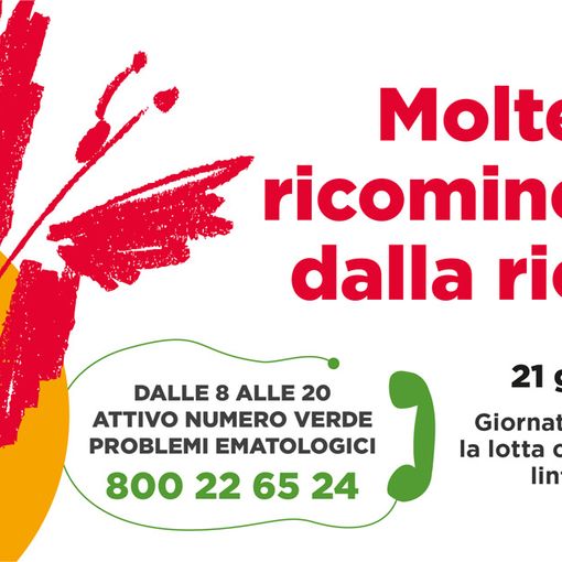 Ail fa progetti per il futuro e presenta il bilancio delle attività