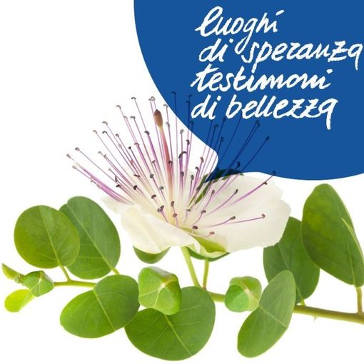 21 marzo: la Città metropolitana di Torino celebra la Giornata della memorie delle vittime delle mafie