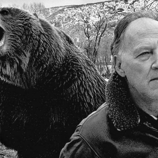 La filosofia pessimistica di “Grizzly Man” stasera al Bunker Camp – Riviera di Milano