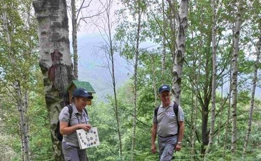 Dal 9 aprile il nuovo corso di formazione per le aspiranti Guardie Ecologiche Volontarie