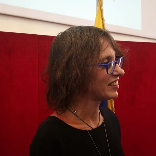 Lapietra: &quot;Obiettivo nuova Ztl Torino migliorare la vita&quot;