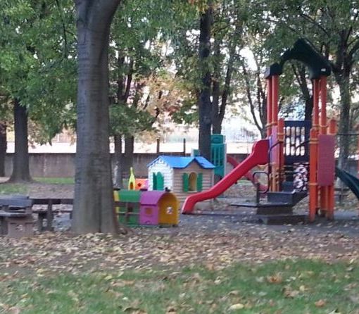 Da 3 anni i bimbi della Germonio sono senza scivolo: 669 torinesi chiedono al Comune di intervenire