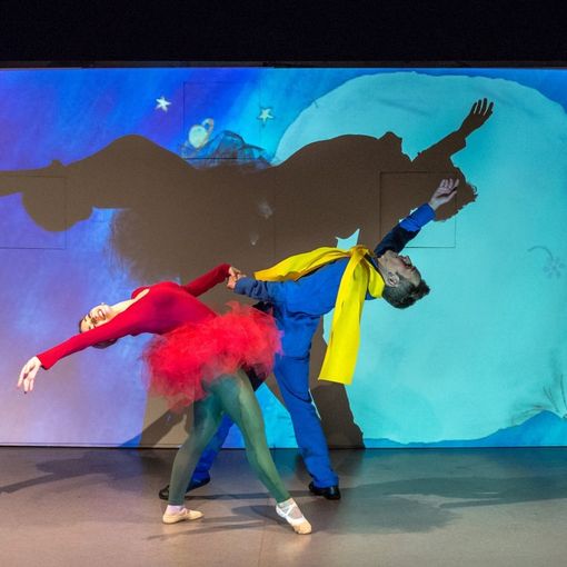 a Moncalieri cinque spettacoli teatrali online per tutte le famiglie