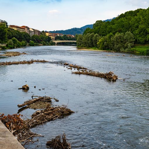 Il Po quasi in secca in questo agosto caldissimo (FOTO)