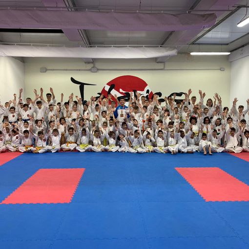 Dal sogno delle Olimpiadi di Tokyo alle lezioni online: il karate del maestro Talarico non si arrende al lockdown