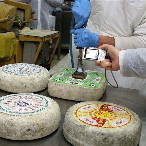 Inalpi presente anche all'edizione 2018 di Terra Madre Salone del Gusto