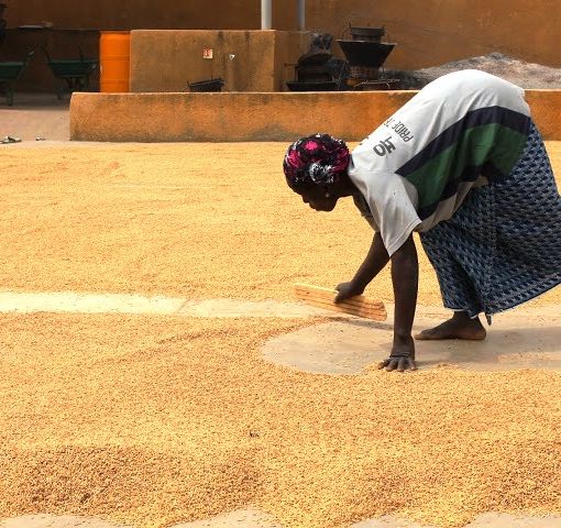 Aspic onlus cerca medico volontario per una missione in Burkina Faso