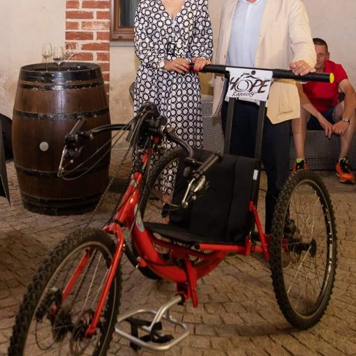 handbike