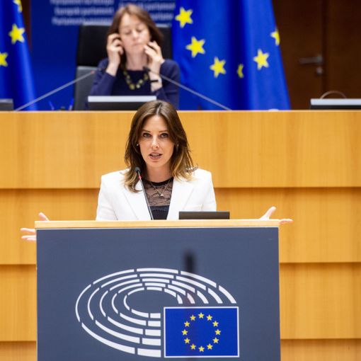 UE, Tovaglieri (Lega), occasione mancata da UE, su cyberviolenza approccio troppo ideologico 