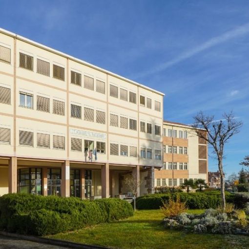 Pianezza, liceo Scientifico di Scienze Applicate: cercasi alunni per il nuovo percorso di studi istituito al Dalmasso