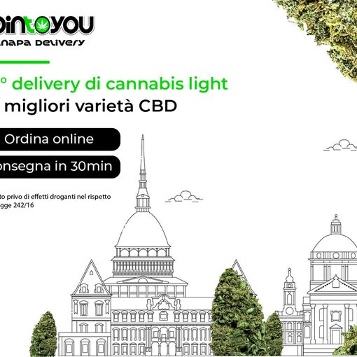 JoinToYou, una giovane azienda bolognese protesa ai vertici della distribuzione della Marijuana Legale in Italia grazie al delivery