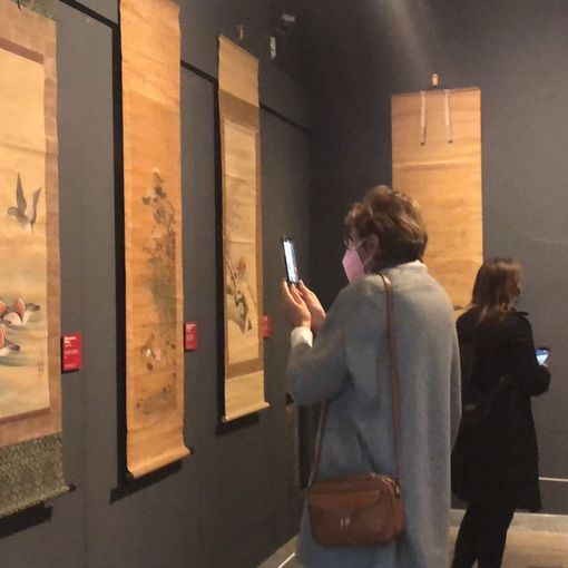 Scimmie, aironi, montagne e fiori nei 125 kachemono in mostra al Mao (FOTO E VIDEO)