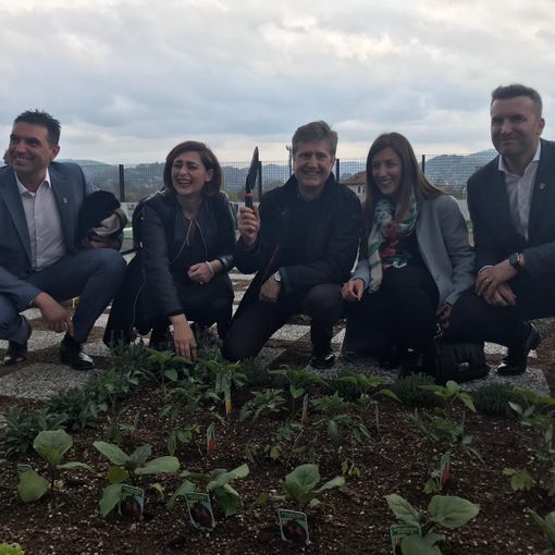 Via Bologna, il nuovo Lidl avvia la “riqualificazione sostenibile”: orti urbani sul tetto del supermercato [VIDEO]