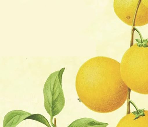 &quot;La salute è nelle tue mani&quot;: domenica presentazione del libro a Villarbasse