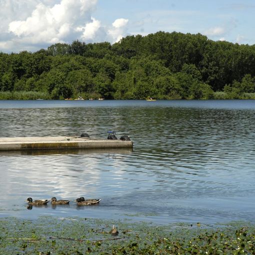 &quot;Puliamo il mondo&quot; al lago di Candia e nel parco dei Monti Pelati
