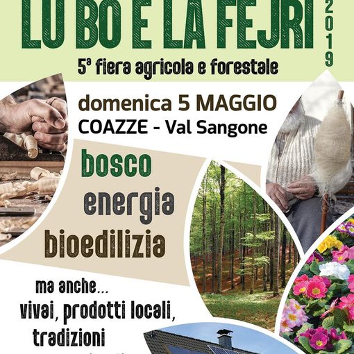 A Coazze la filiera forestale protagonista de &quot;Lu bo e la fejri&quot;