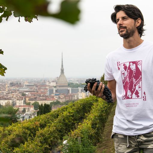Terminata la vendemmia a Villa della Regina: in cantina circa 50 quintali di uve Freisa