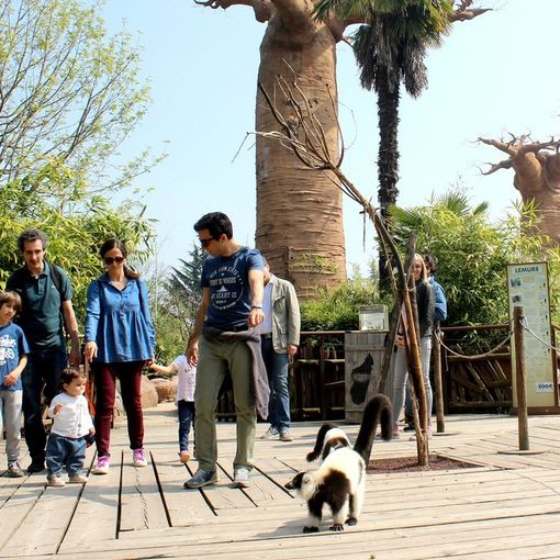 Sabato 23 e 24 giugno bambini gratis al bioparco ZOOM