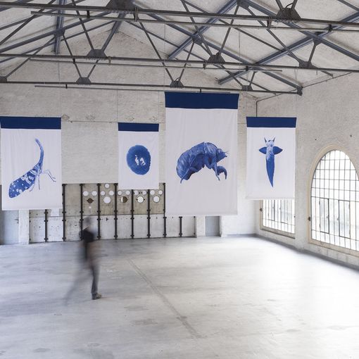 &quot;Fare foresta&quot; al Parco Arte Vivente: arriva in Italia la performance di Mali Weil
