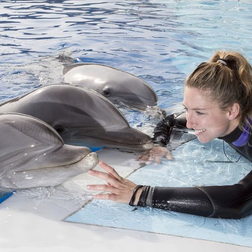 La Pasqua dei bambini è a Kid's Island - Parco di Marineland