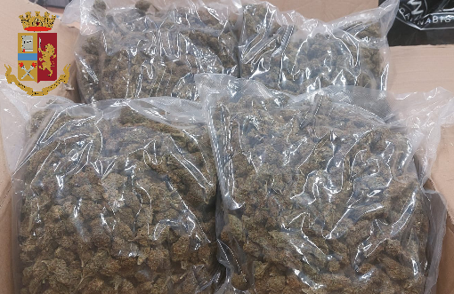 Marijuana e hashish, la polizia trova 100 chili di droga in due case: arrestati due pusher