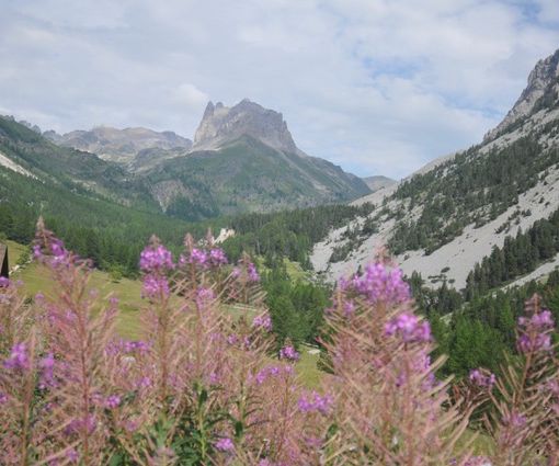Bardonecchia, festa pellegrinaggio alla cappella del Monte Thabor