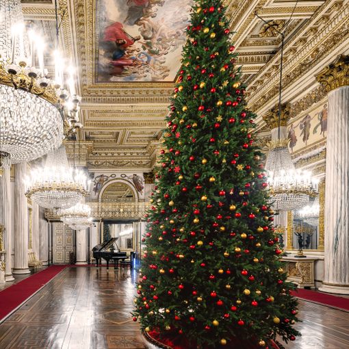 Gli orari di apertura dei musei a Torino durante le festività natalizie