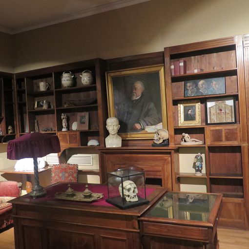Riparte Museiamo: domani, sabato 30 novembre, si comincia dal museo Lombroso
