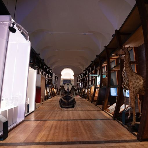 Sala di un museo