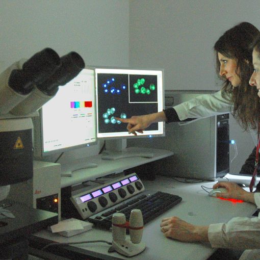 Orbassano, il NICO apre le sue porte per svelare come si &quot;aprono&quot; quelle del cervello