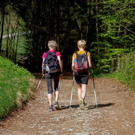 Test, convegni e una camminata al Parco della Mandria per combattere il diabete