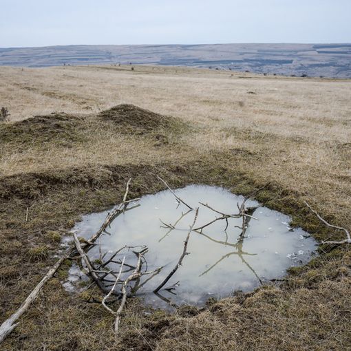 Dal 14 settembre a Torino la mostra fotografica &quot;No man's land&quot; di Stefan Badulescu