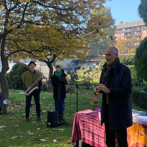 Il 21 novembre la Giornata Nazionale degli Alberi. A Torino una settimana di eventi e iniziative