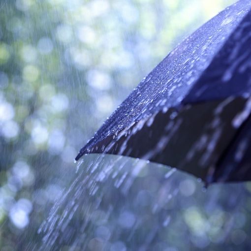 Allerta gialla sul Piemonte, forti pioggie fino a domani mattina
