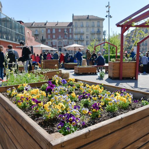 Ritorna per il terzo anno consecutivo l'Orto Urbano di Torino