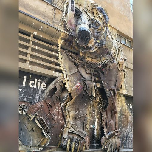 Al centro di Torino &quot;vive&quot; un grande orso: the big bear