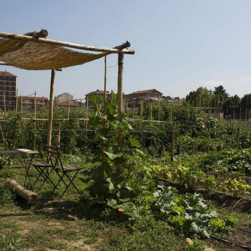 AmbientAzioni 2022, scelto il progetto “Irrigazione responsabile” per gli orti urbani di Mirafiori Sud