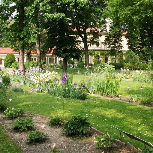 Gli eventi in programma a febbraio all'Orto Botanico di Torino