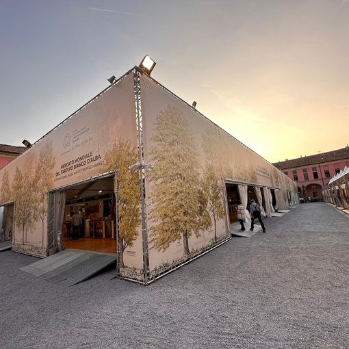 Peraria veste le strutture di piazza Maddalena ad Alba, per la Fiera del Tartufo