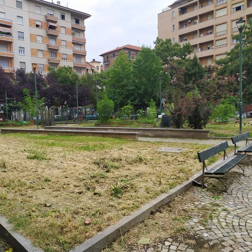Piazza Risorgimento: “Dopo la giungla c'è il deserto”