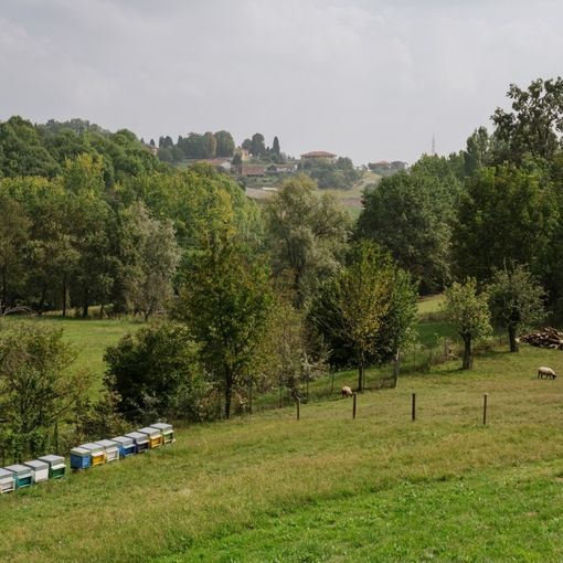 La richiesta di Coldiretti Piemonte: &quot;Utilizzare le fattorie didattiche per lezioni nella natura”