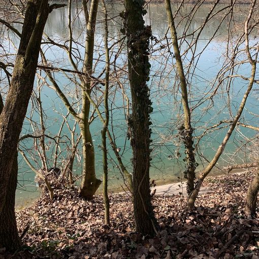 il luogo della caduta al parco del Meisino