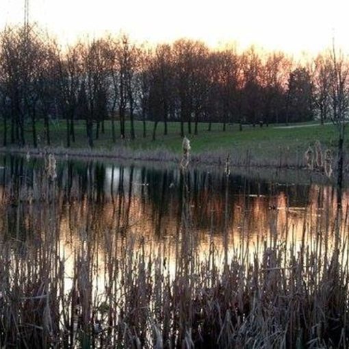 Torna domani, dopo più di un decennio, la Festa dello Sport alla Pellerina